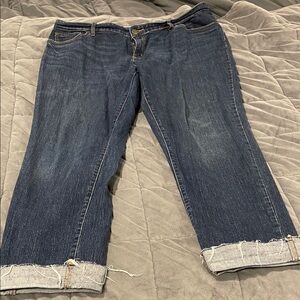 Universal Threads Blue Women's Jeans size 16w